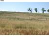 6750 S College
 Fort Collins CO 80525